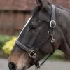Mark Todd Leather Headcollar - Havana/White