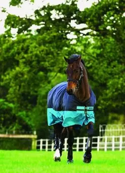 Mio Turnout Medium - Black/turquoise