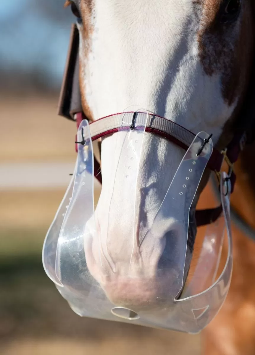 KM Elite ThinLine Flexible Filly Grazing Muzzle - Clear 2 KM Elite ThinLine Flexible Filly Grazing Muzzle - Clear - Image 2