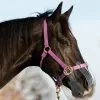 KM Elite ThinLine Flexible Filly Grazing Muzzle - Clear