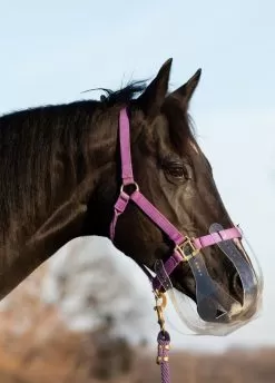 KM Elite ThinLine Flexible Filly Grazing Muzzle - Clear