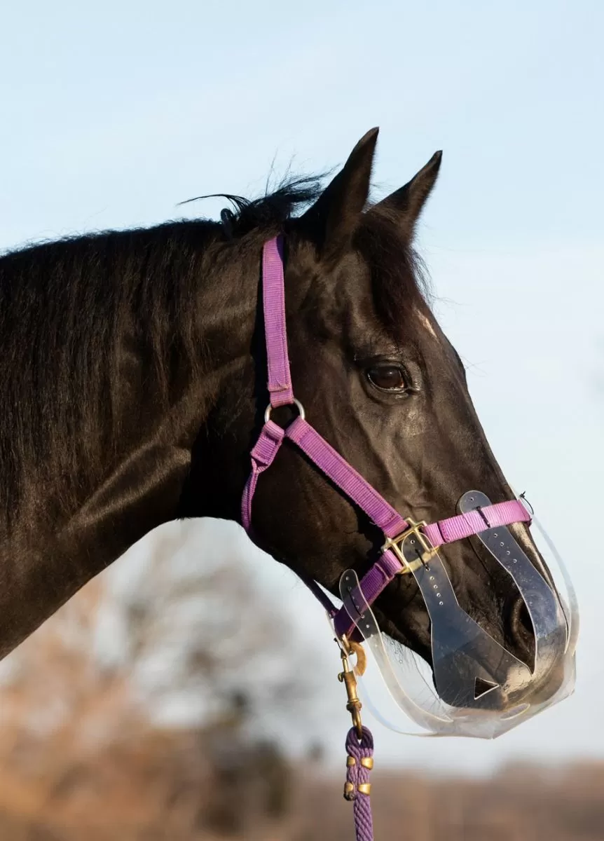 KM Elite ThinLine Flexible Filly Grazing Muzzle - Clear 1 KM Elite ThinLine Flexible Filly Grazing Muzzle - Clear