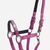 Schockemohle Nice Headcollar - Poison Berry