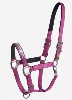Schockemohle Nice Headcollar - Poison Berry