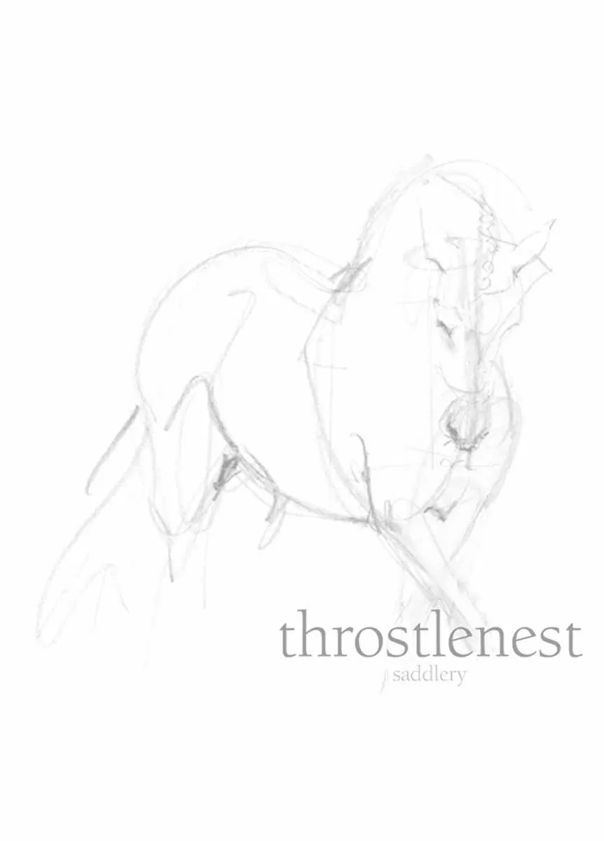 Griffin NM12 Working Hunter Numnah - Black 1 Griffin NM12 Working Hunter Numnah - Black