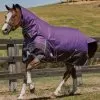 Weatherbeeta Comfitec Plus Dynamic Combo Med/Lite Turnout - Purple/Black