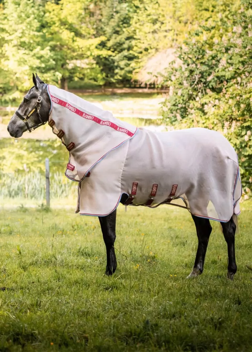 Rambo Protector Disc Front - Oatmeal/Cherry 2 Rambo Protector Disc Front - Oatmeal/Cherry - Image 2