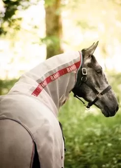 Rambo Protector Disc Front - Oatmeal/Cherry 10 Rambo Protector Disc Front - Oatmeal/Cherry -Equestrian Equipment Shop rambo protector oatmeal cherry 5rdy