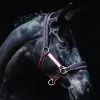 Rambo Padded Headcollar - Witney Cherry