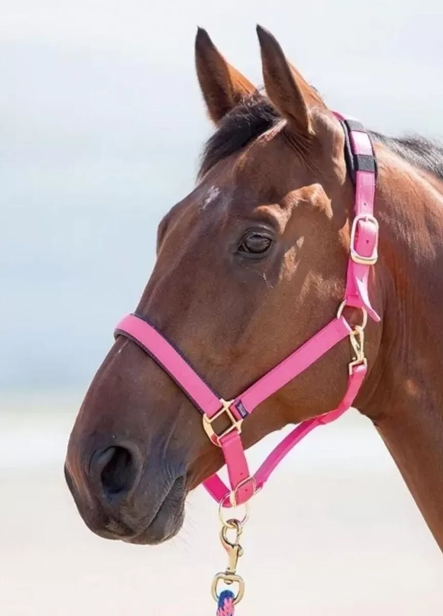 Shires Topaz Nylon Headcollar - Pink 1 Shires Topaz Nylon Headcollar - Pink