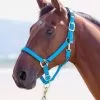 Shires Topaz Padded Headcollar - Bright Blue