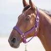 Shires Topaz Padded Headcollar - Purple
