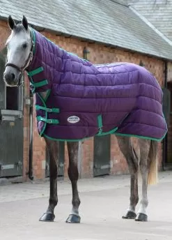 Weatherbeeta 210D Channel Quilt Combo Medium - Bright Purple/Green