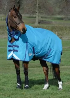 Weatherbeeta Plus Dynamic Combo Neck Lite - Sea Blue