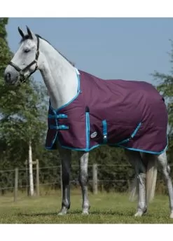 Weatherbeeta Essential Standard Neck Medium - Grape/Blue