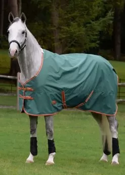 Weatherbeeta ComFITec Tyro Standard Neck Lite Plus - Green/Burnt Orange