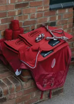 Weatherbeeta Coordinate Headcollar - Ruby -Equestrian Equipment Shop wbbirthday2 2