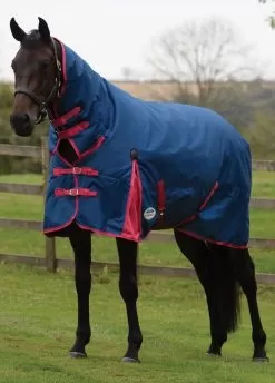 Weatherbeeta ComFITec Classic Combo Neck Med/Lite - Blueberry/Pink