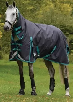 Weatherbeeta ComFITec Plus Dynamic II Combo Neck Medium - Black/Aqua