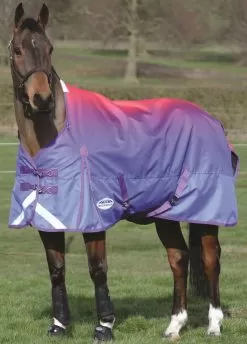 Weatherbeeta ComFiTec Plus Dynamic Standard Neck Lite Turnout Rug - Purple Ombre